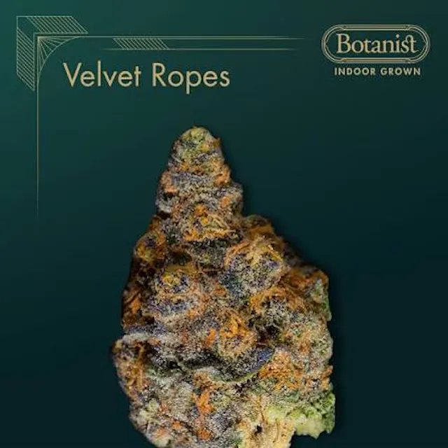 The Botanist Flower Velvet Ropes 3.5g (indica, whole flower)
