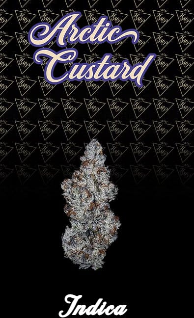 Product Arctic Custard Buds