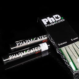 Ph.d Preroll - Y2K