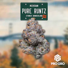 DELI - Pro Gro - Pure Runtz - FLOWER by Pro Gro at King of Budz