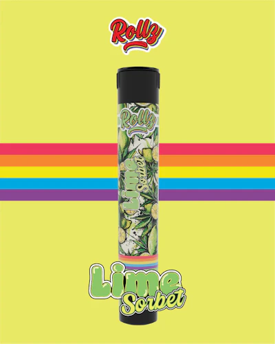 Rollz - 1g Infused Preroll - Lime Sorbet - PRE_ROLLS by Rollz at King of Budz