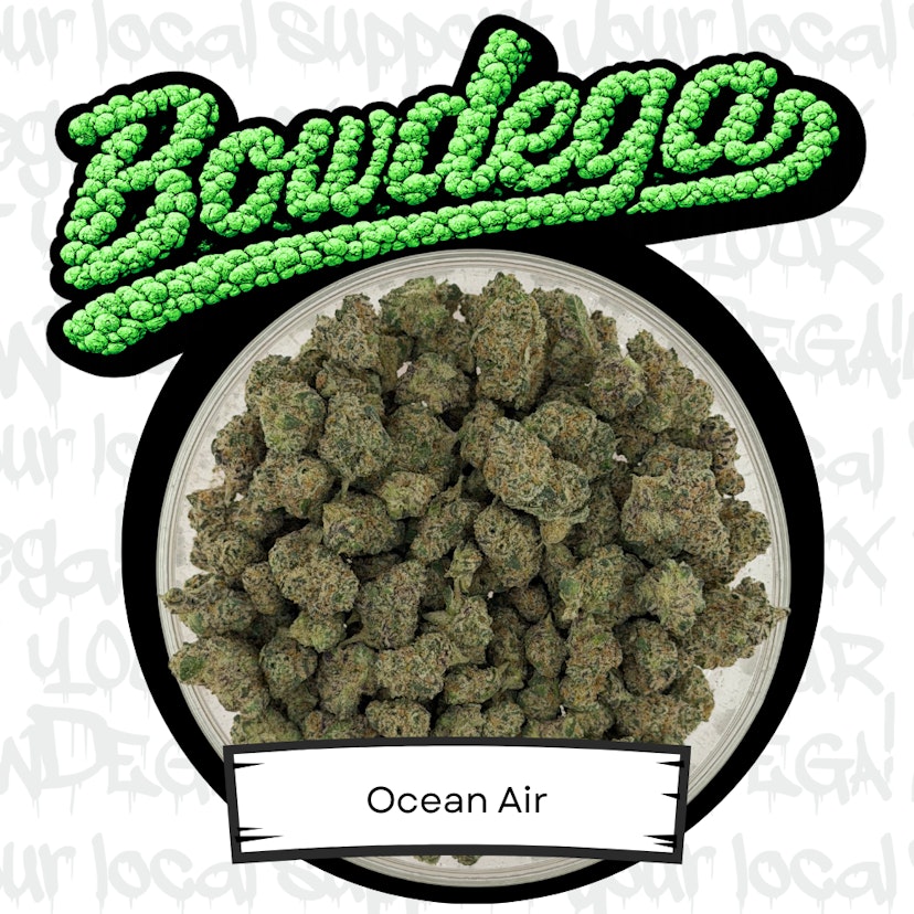 Plant Nerd | Ocean Air