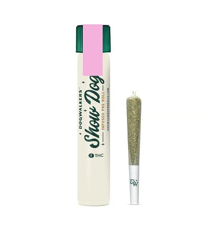 Dogwalkers Jet Fuel OG Infused PreRoll Show Dog