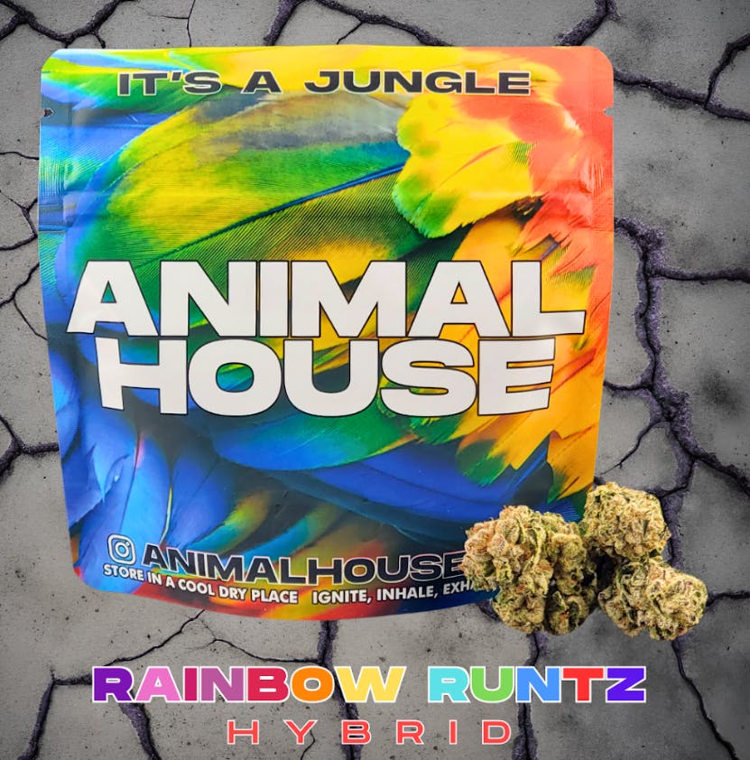 Rainbow Runtz 5g Nugg