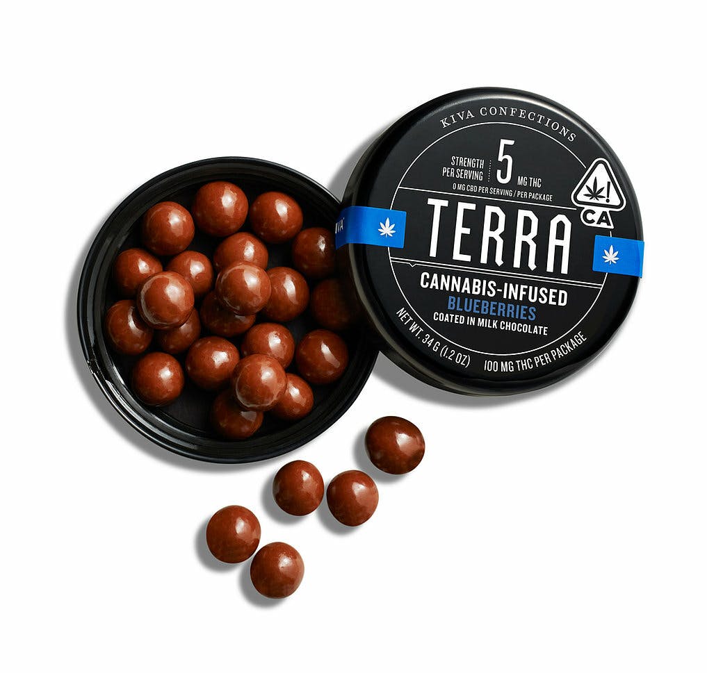 Terra - 100mg Chocolate Bites - Blueberry