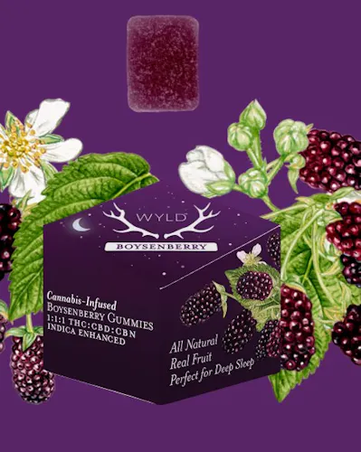 Boysenberry | Gummies | 10pk | 100mg-1