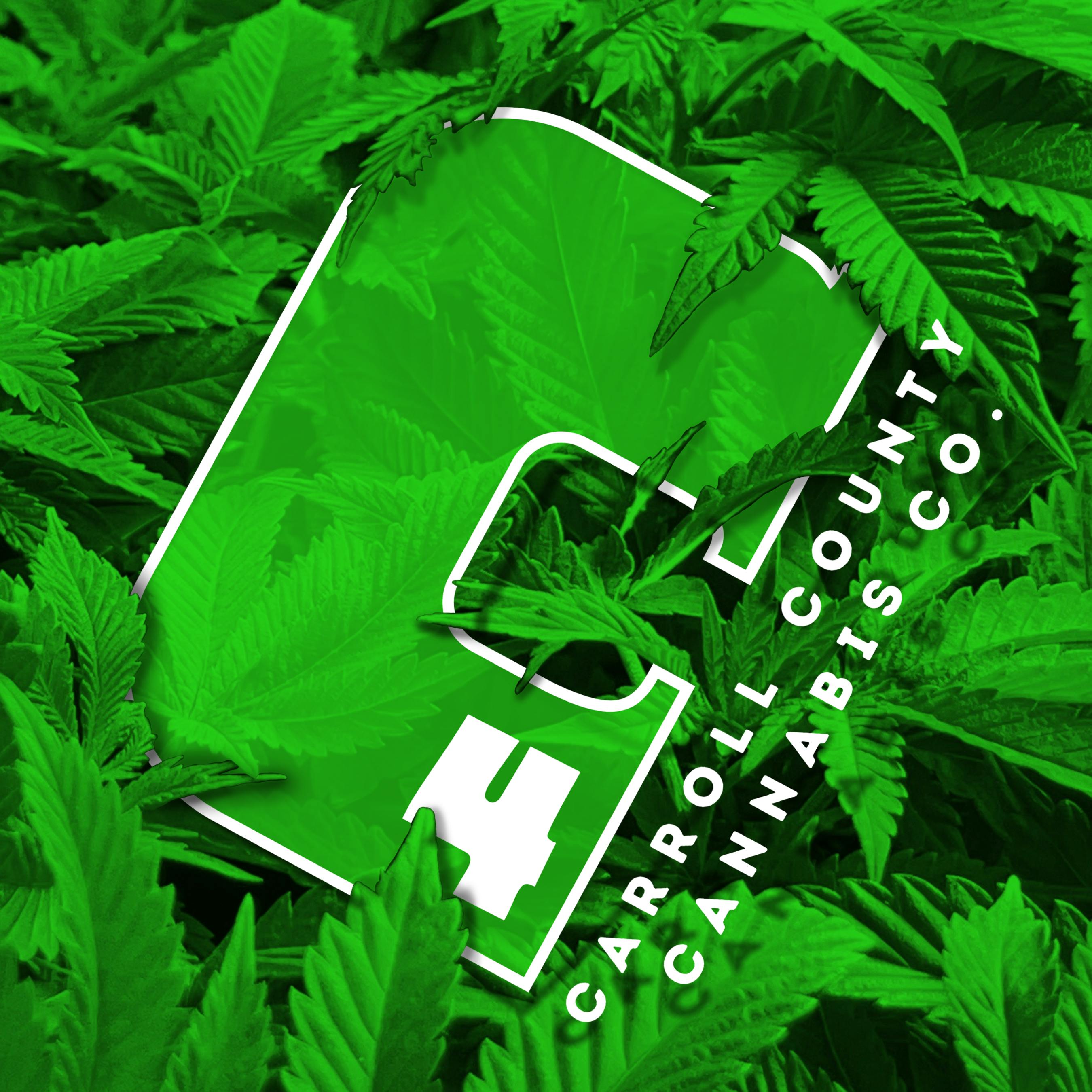 チョロＱ　350 NO.70 Logo Green D'cor Visuals Racing Snapback Hat – Compatible with Kawasaki