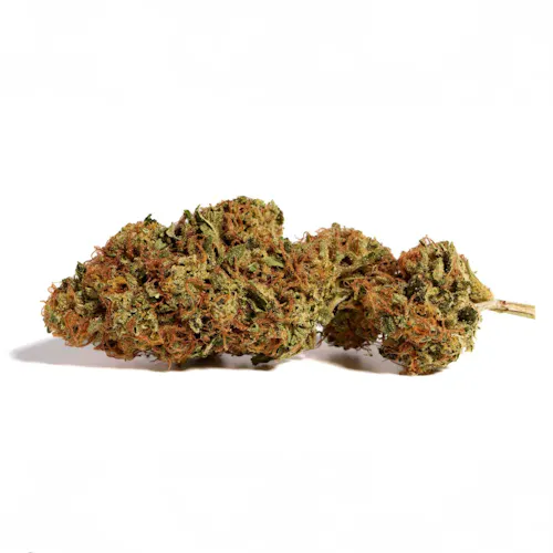 BS- Flower | GH1-2