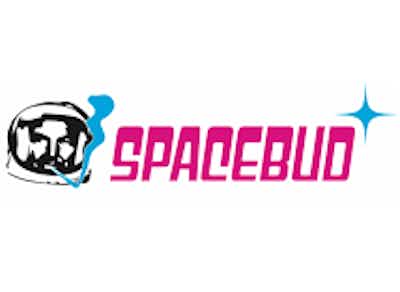 Product: Blueberry | Infused | Spacebud