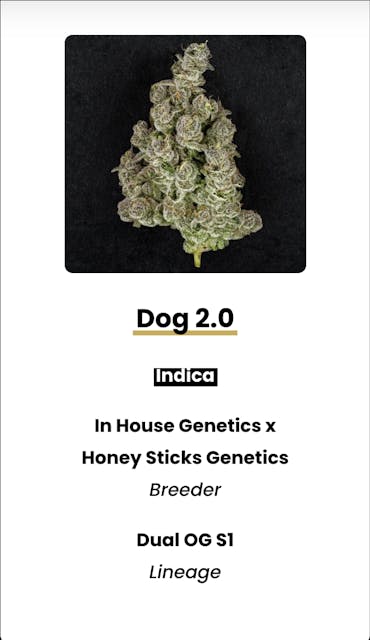 Dog 2.0 (I) | 3.5g | Flower | 27.34% - Image 2