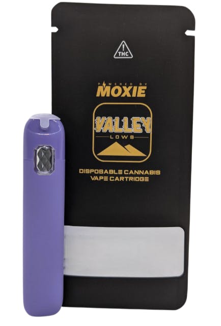 Blue Raspberry | Disposable