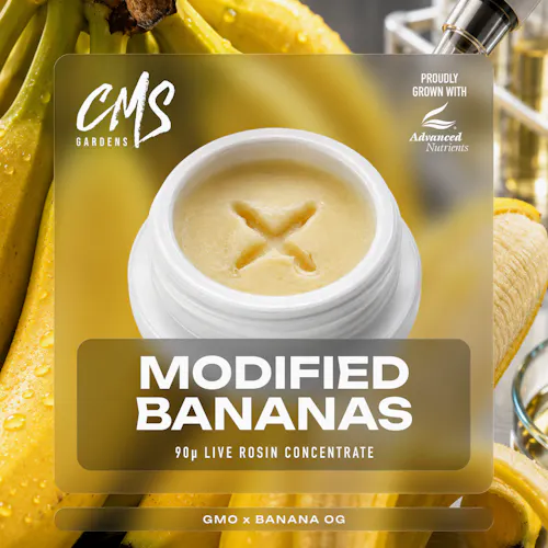 Modified Bananas Live Rosin-active