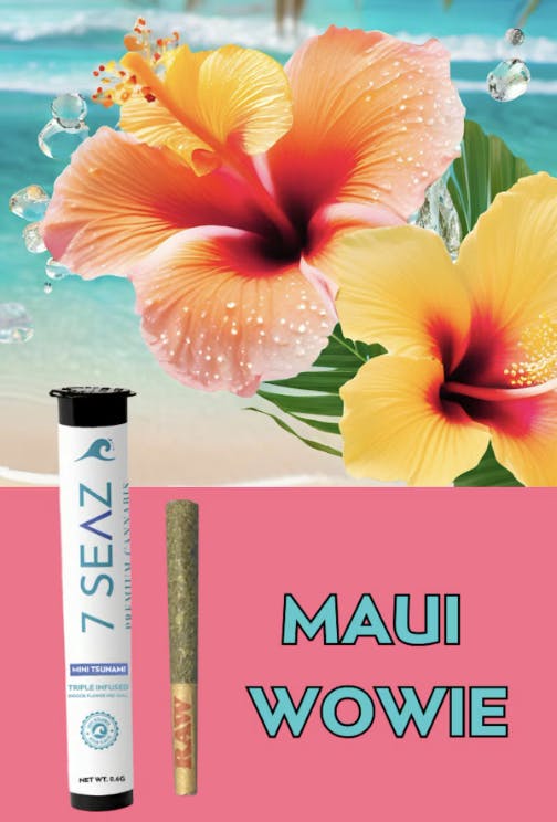 Product Infused Preroll Mini Tsunami | Maui Waui (S/H) | 0.6g | 7 Seaz