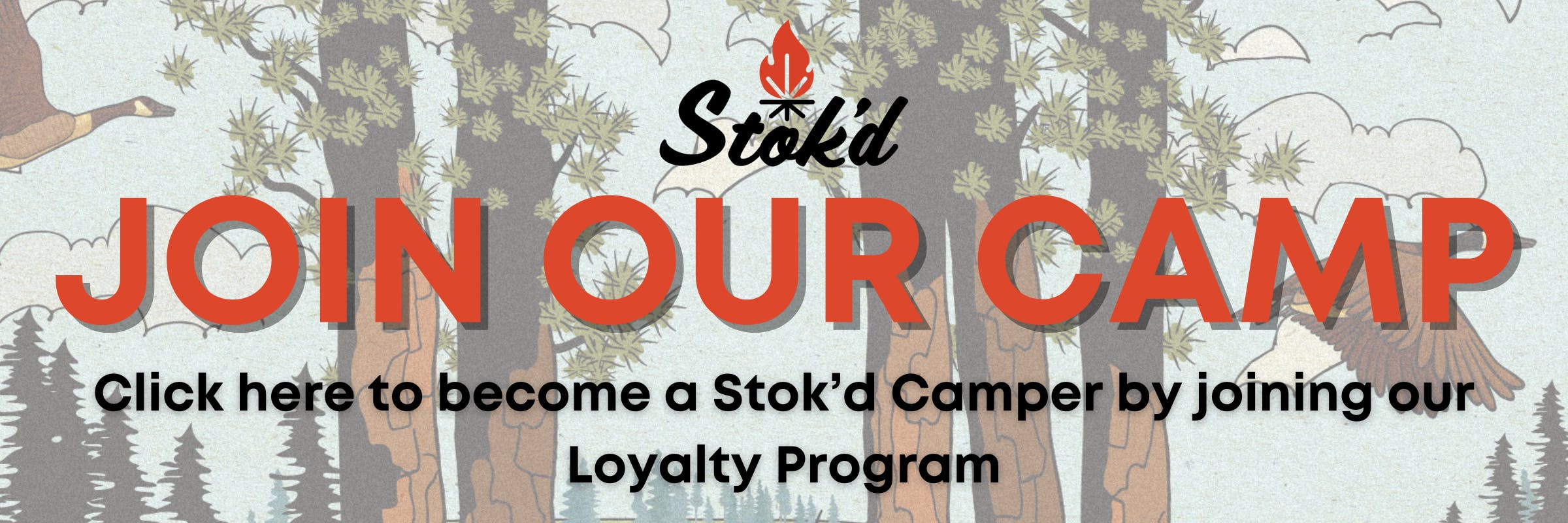 Loyalty Program - POINTS!!!!