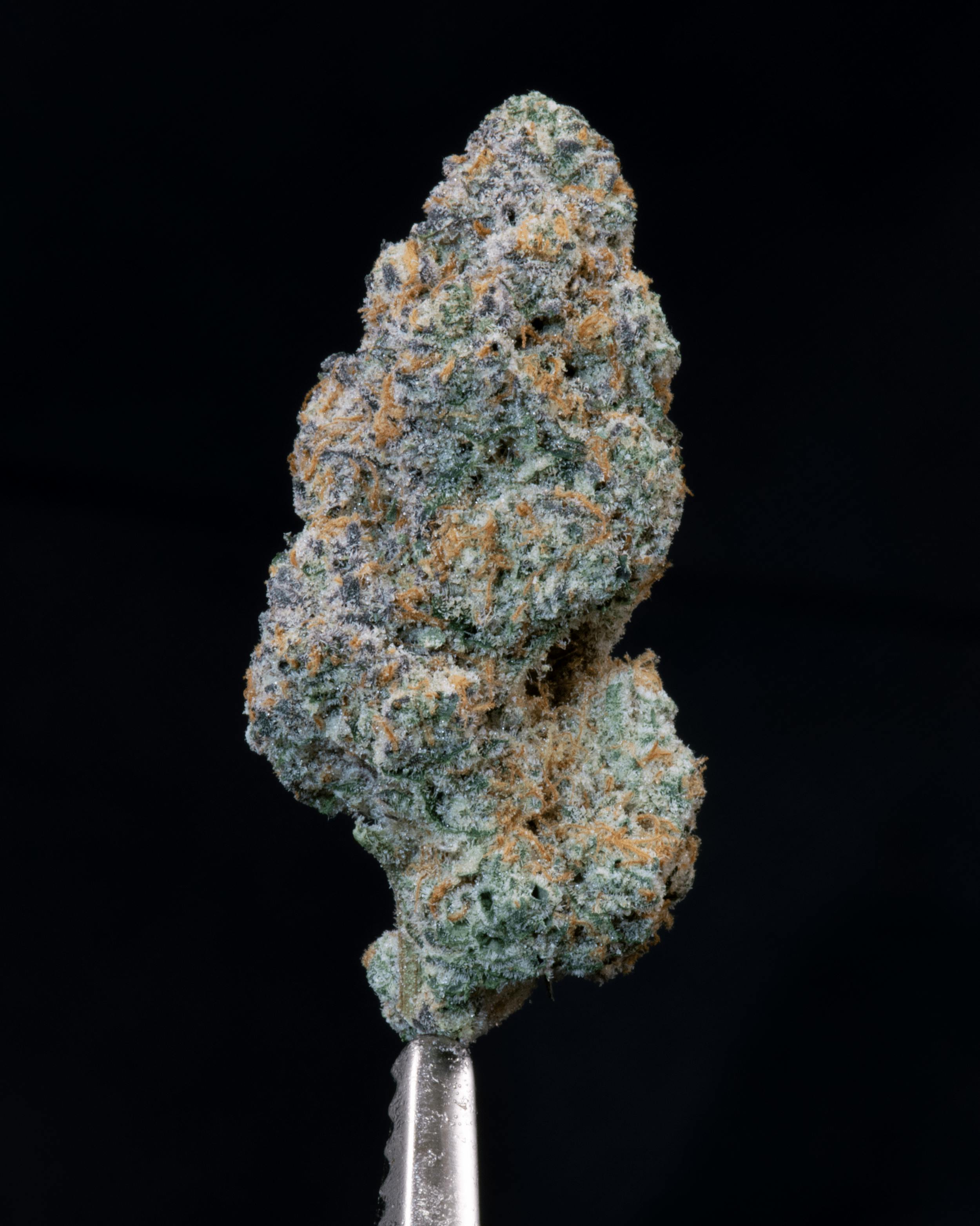 image of The Valley Razz | 7g Prepackaged Flower