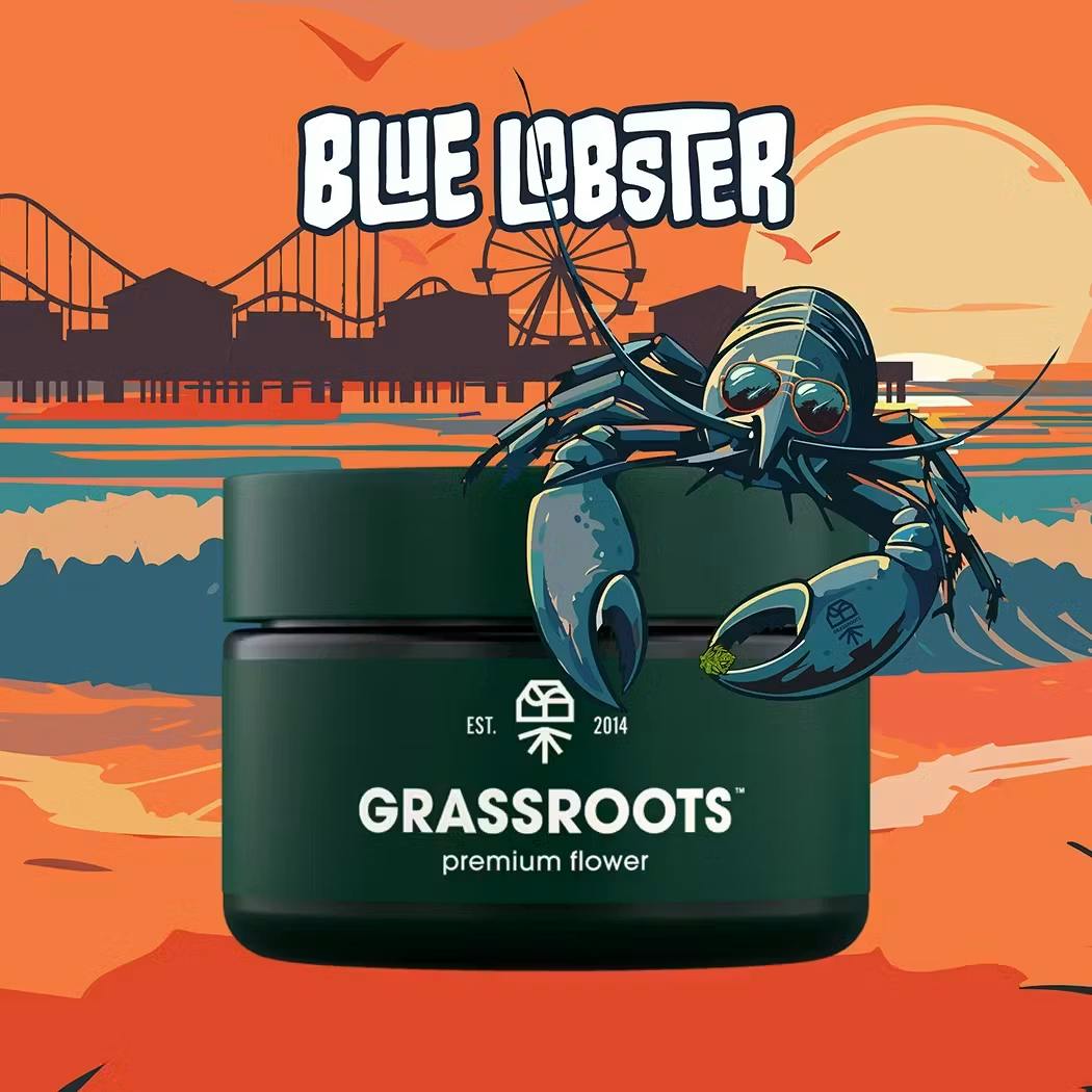 Product Grassroots | Blue Lobster | Popcorn Buds