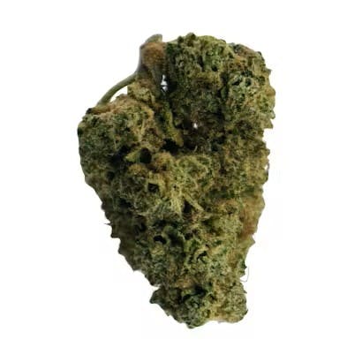 Dragonfly DRAGONFLY | GYM BAG | BULK | HYBRID — FLOWER