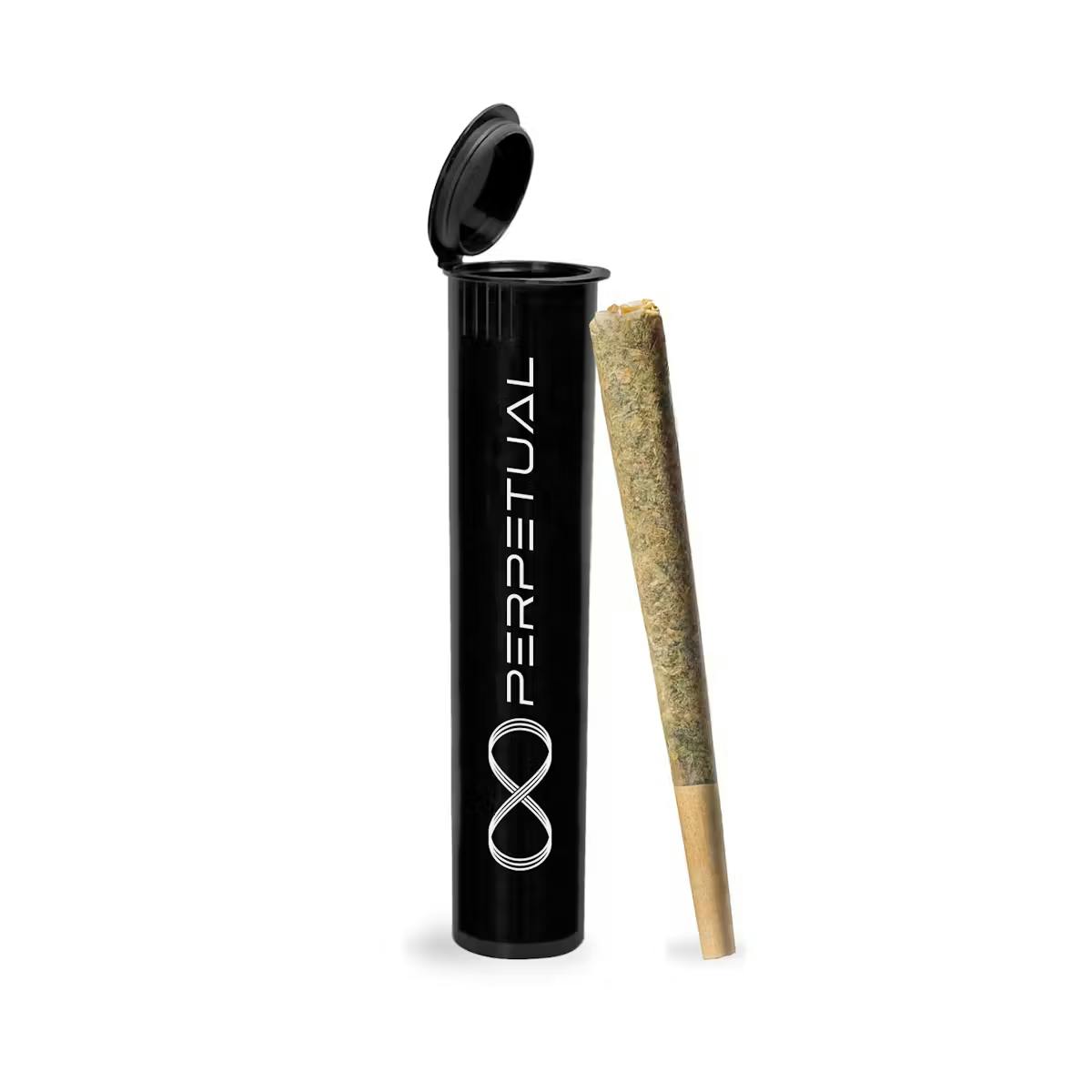 Photo of Perpetual | Gary Poppins | Preroll