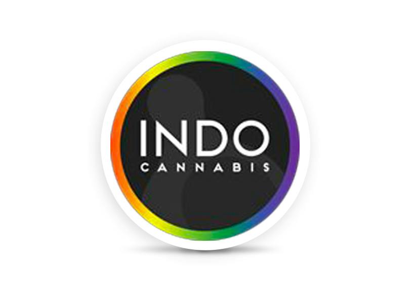 Image of PINEAPPLE JACK CARTRIDGE 2G INDO CANNABIS M{} N{99}
