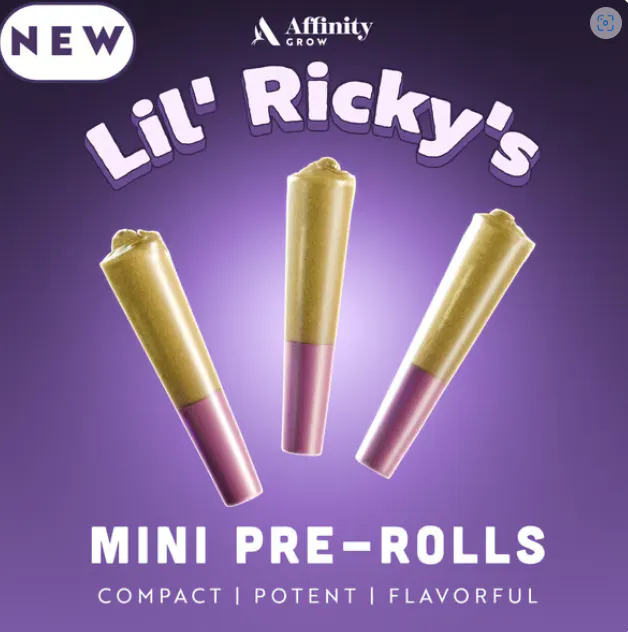 り*ん様 G RAP!!LIL RIC/2枚 SET Lil Ric | Spotify