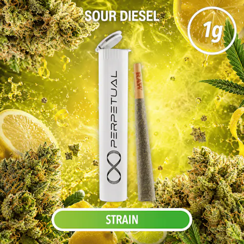 Sour Diesel (S) – Infused Pre-Roll (1g) – Perpetual-1