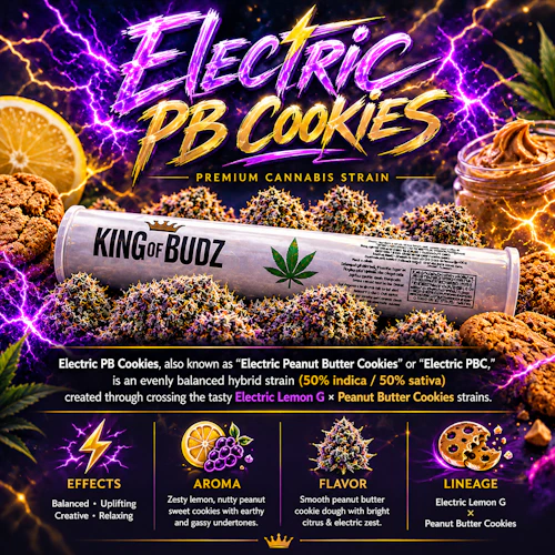 KOB - 1g Preroll - Electric Peanut Butter Cookie