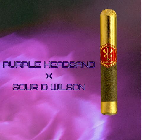 Godfather VSXL - Purple Headband / Sour D Wilson - 12G