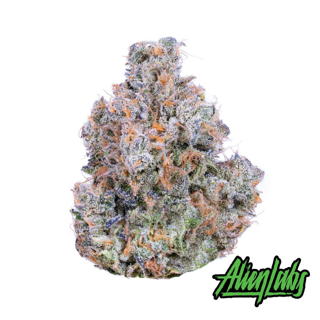 Xeno Flower