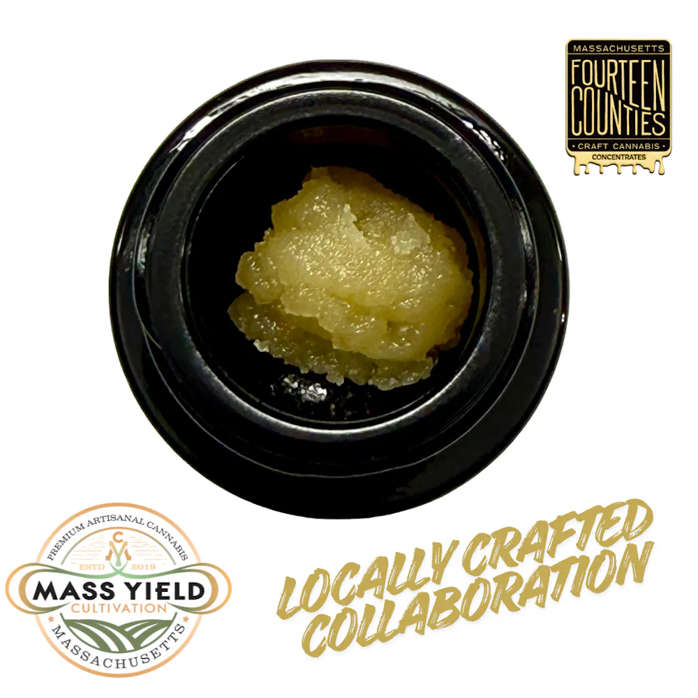 Product Gamma Madness Budder | Concentrates | 2g