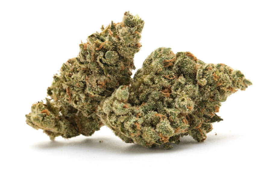 Product: LA Baker | Hammon Tree