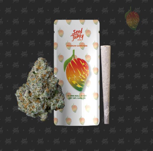 Product: SEED JUNKY | MANGO FRUZ | PRE-ROLL HYBRID