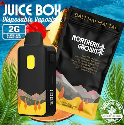 jars disposable vape Geek Bar Pulse X 25K Meteor Edition Disposable — eJuiceDirect main image 1