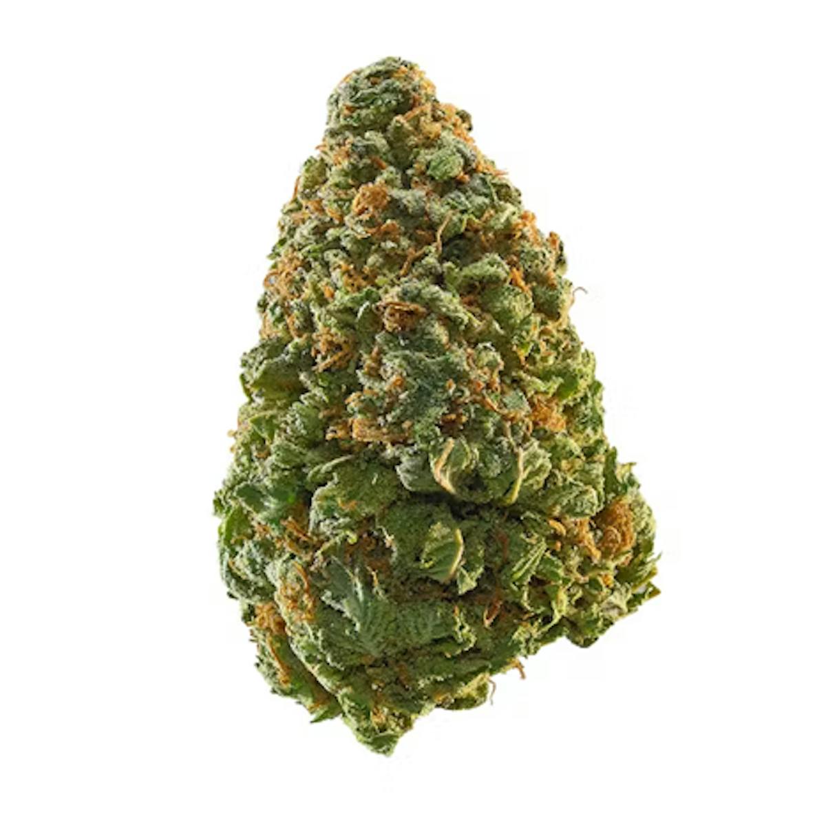 Photo of High Scale | Zherbert | Flower 3.5g