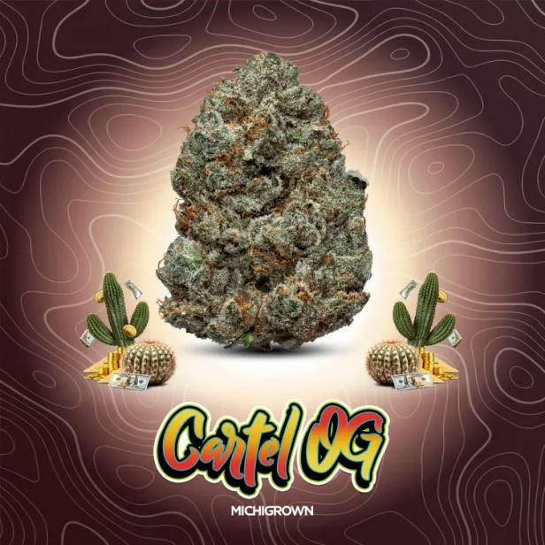 DELI - Michigrown - Cartel OG