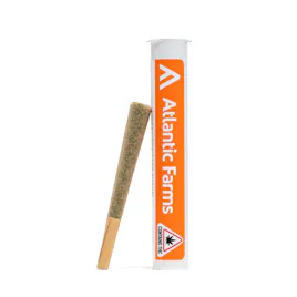 Pre-Rolls category image