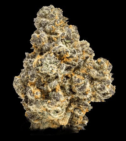 Animal Tsunami (Green Dynasty) - Private Reserve