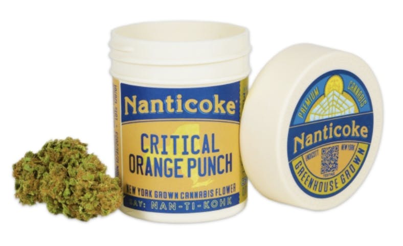 Nanticoke- 3.5 Flower Jar- Critical Orange Punch