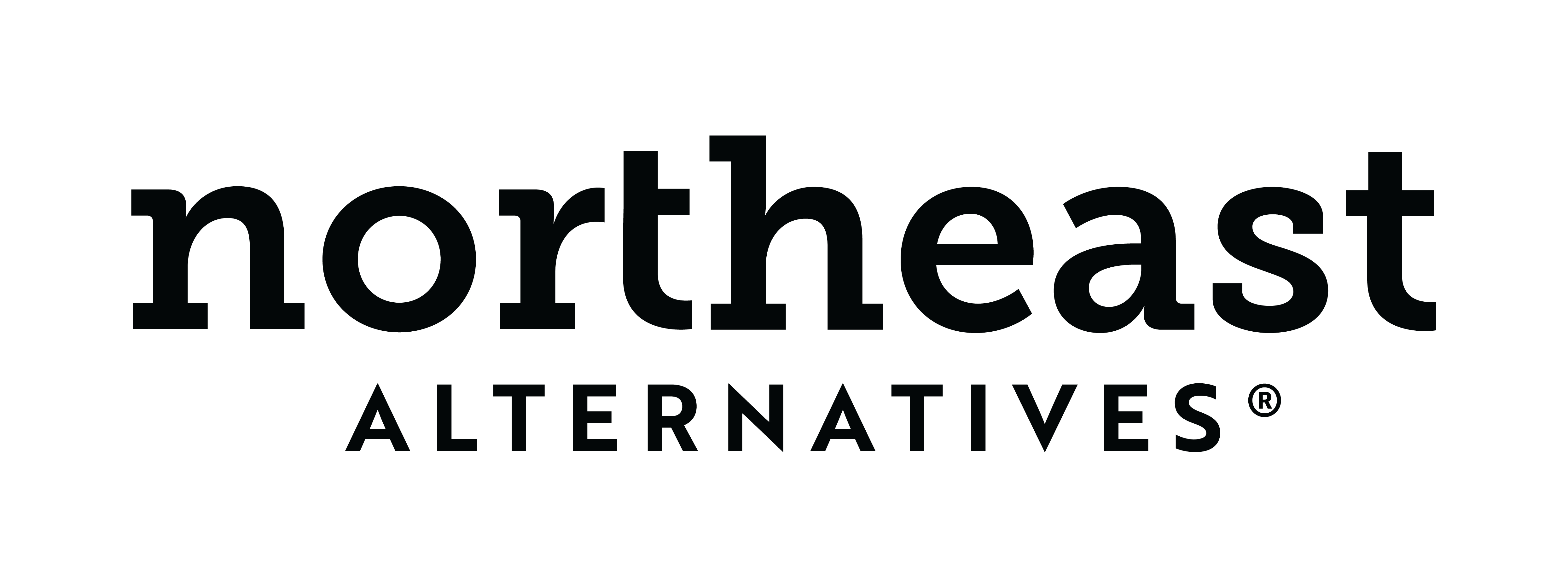 logo for Northeast Alternatives - Fall River - Medical