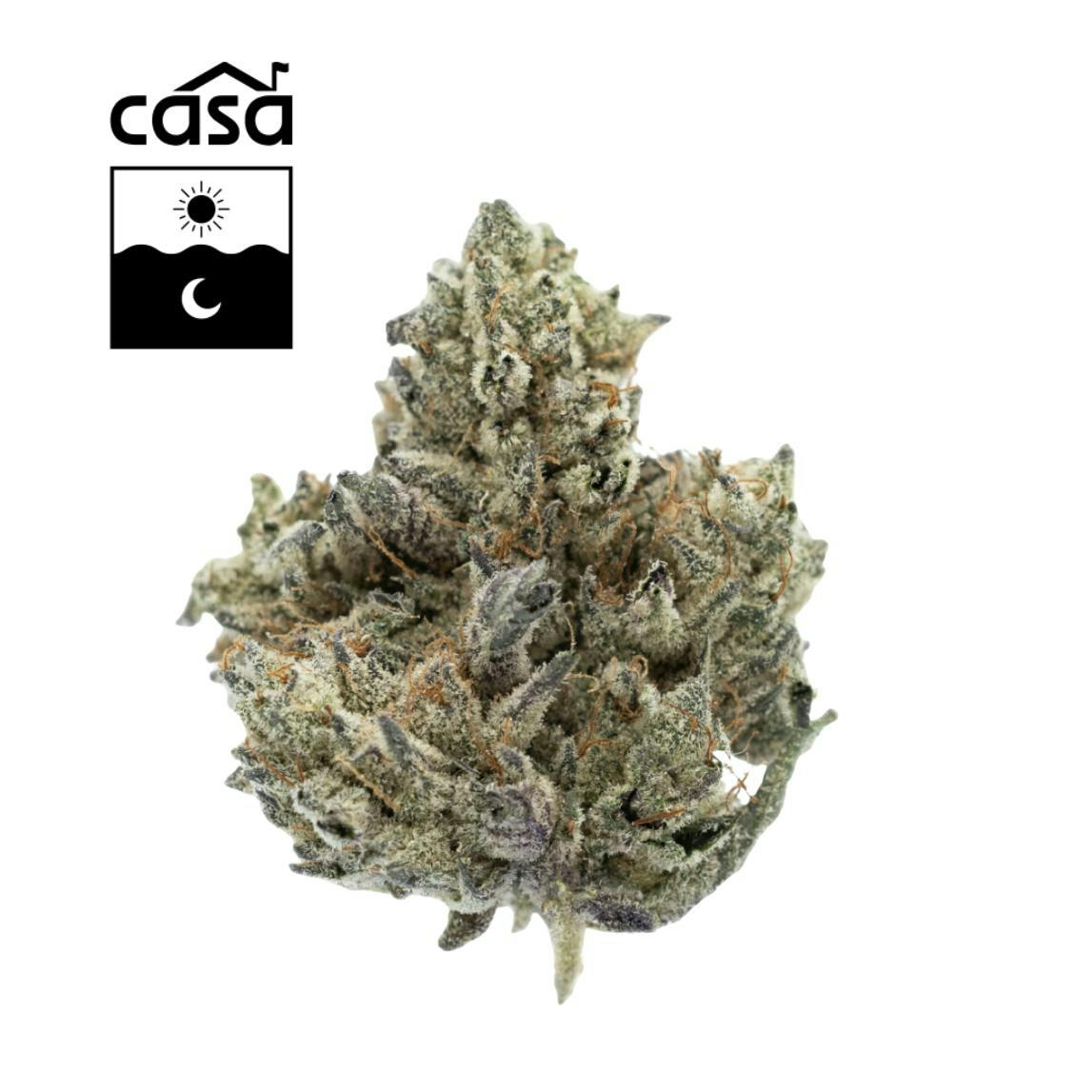 Product: Casa | Seaweed #3 | Flower - 7g