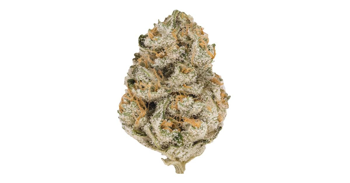 BHL ENTERPRISES BHL ENTERPRISES | WATERMELON GELATO | BULK | INDICA / HYBRID — FLOWER