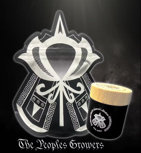 Product Wingsuit (Emerald)