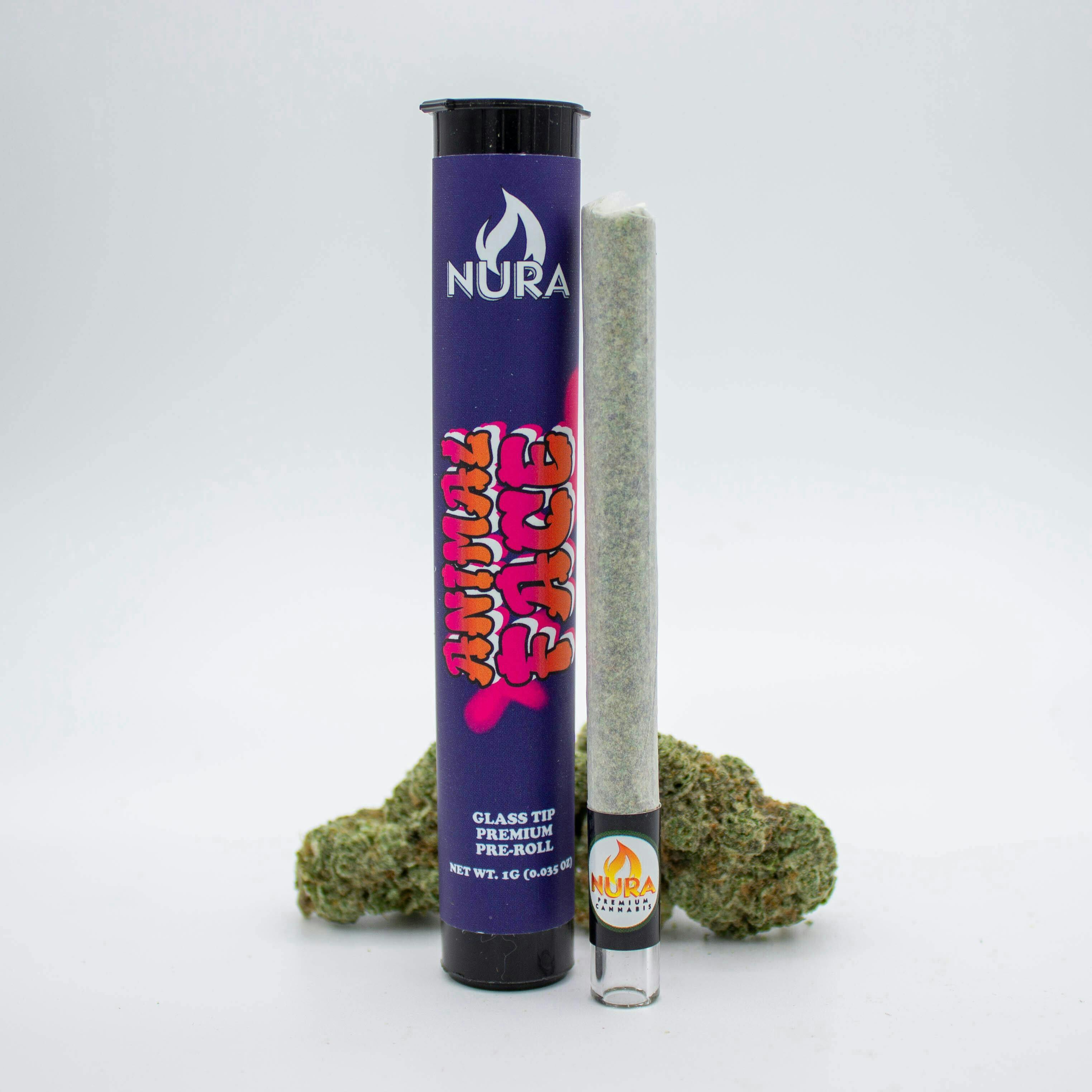 NURA NURA | ANIMAL FACE (GLASS TIP) | PRE-ROLL SATIVA — PRE_ROLLS
