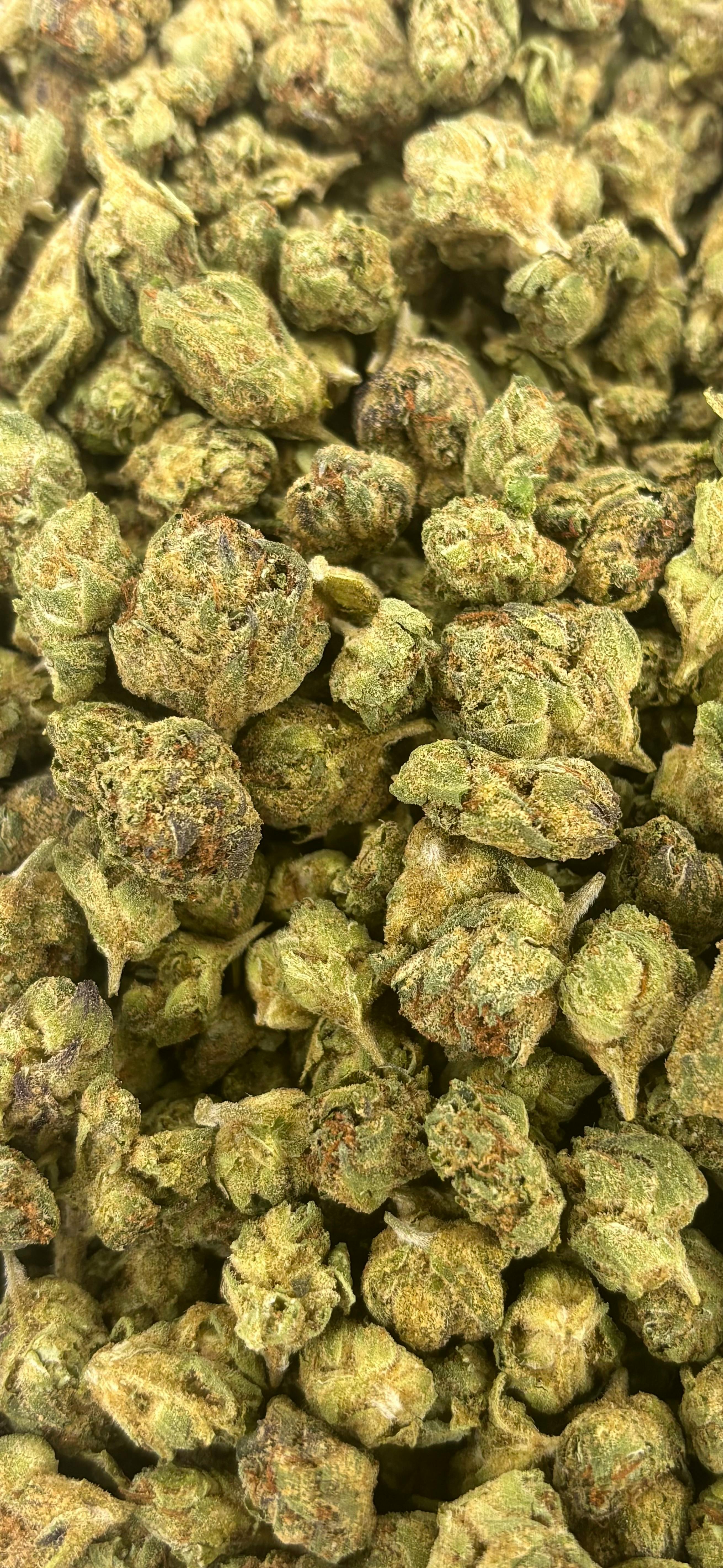 Zurge Punch | Deli Flower (Bronze)