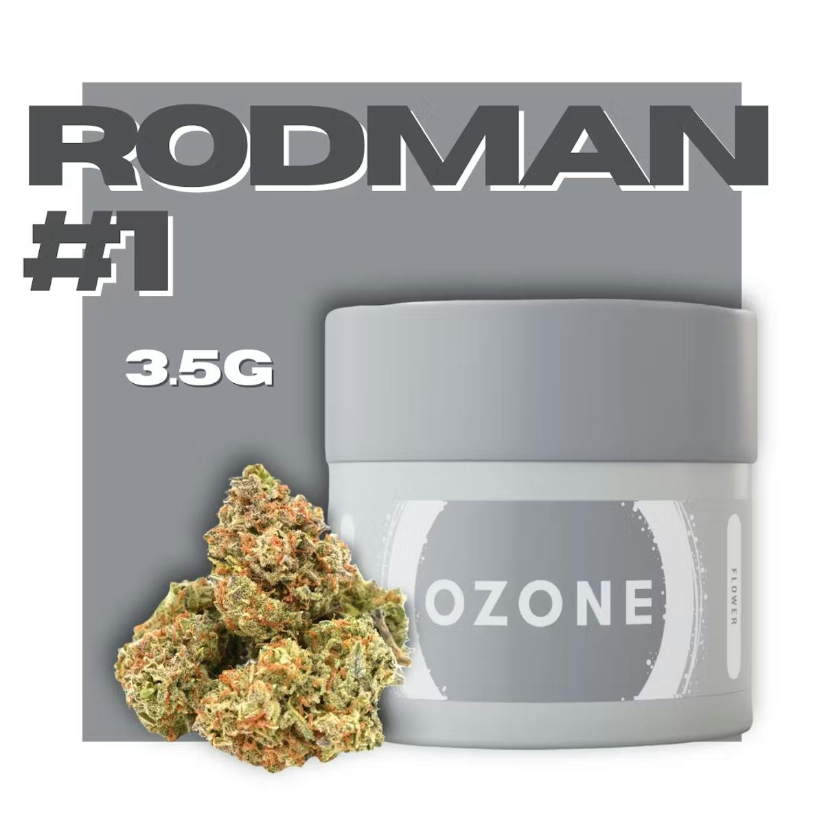 Photo of Ozone Rodman #1