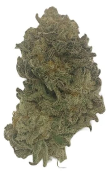 Mach 1 | Marigolds Cannabis