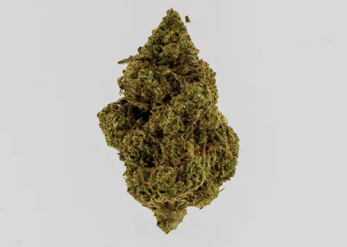 Tarot Tokes | Pecan Pie | Flower 3.5g-1