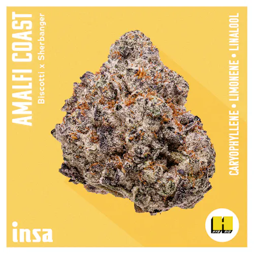 Amalfi Coast | 3.5g-active