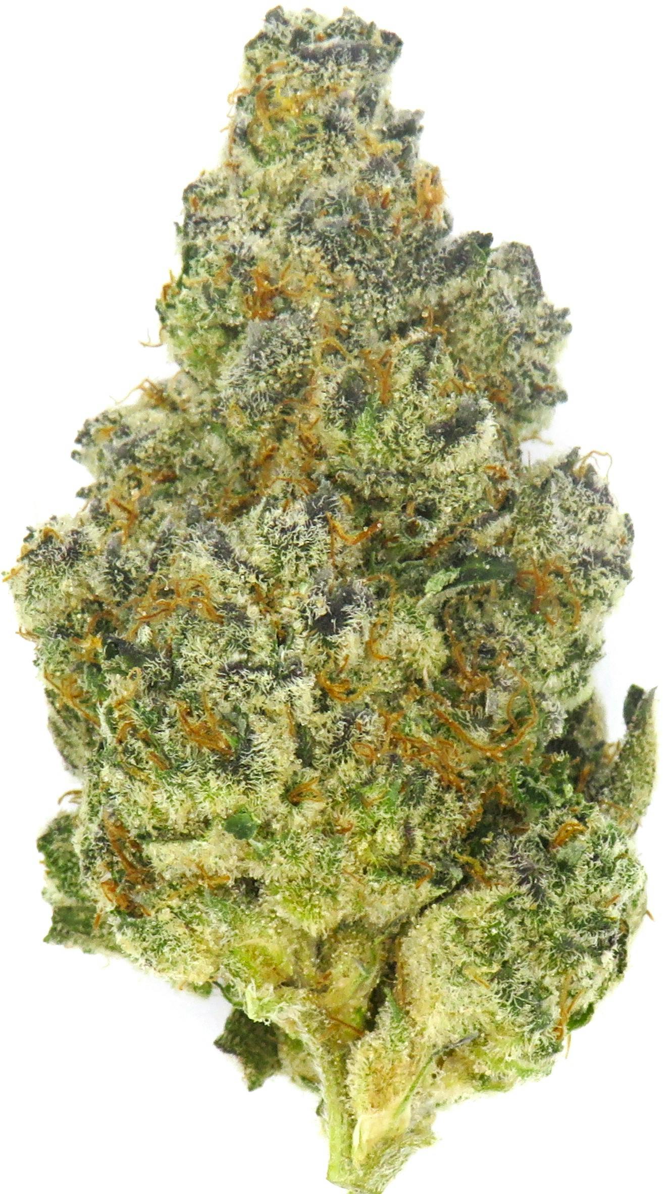 Product: Cap Junky | Uplyfted Cannabis Co.