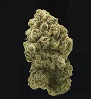 Product Green Apple Tangie Buds