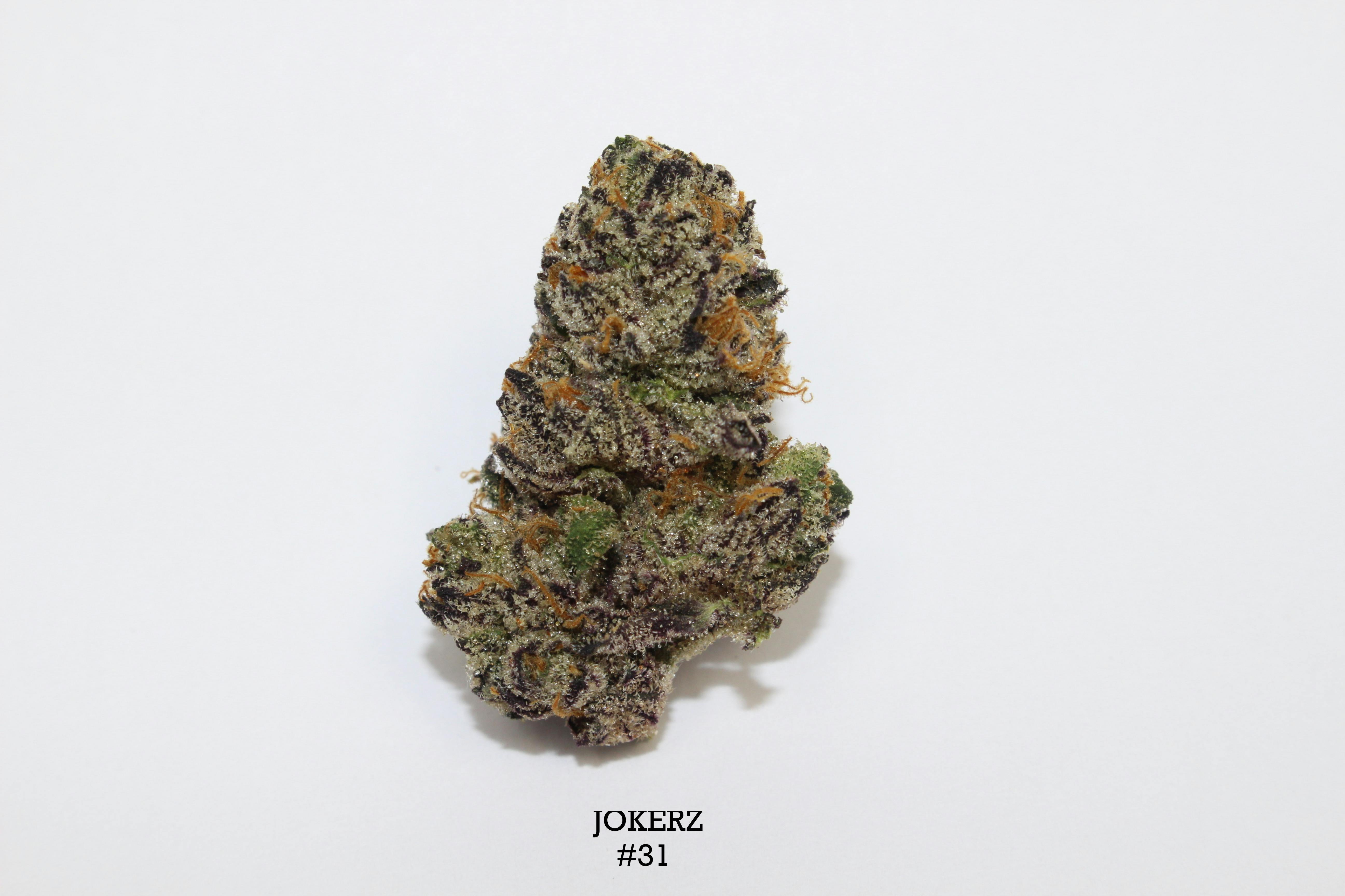 Jokerz #31 | Flower | 3.5g by Roemer Farms | Buy Online